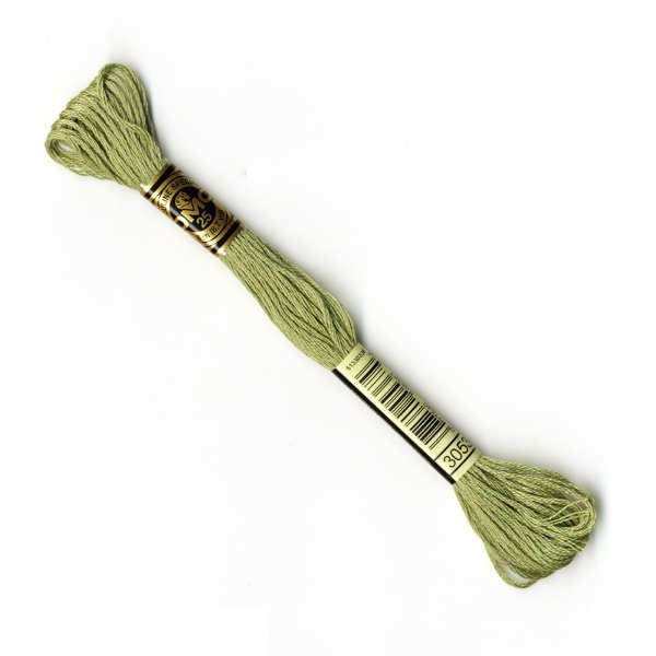 DMC Stranded Cotton - Tweed Green - 3053