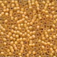 Mill Hill Frosted Seed Bead - Autumn - 62044